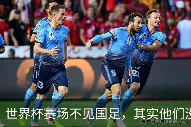 世界杯赛场不见国足，其实他们没“闲着”丨中听
